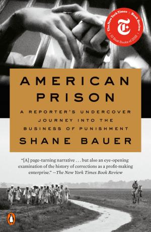 Cover of the book American Prison by Greg Albert