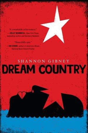 Cover of the book Dream Country by Loren Long