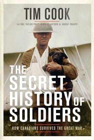 Book cover of The Secret History of Soldiers