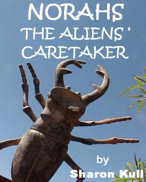 Cover of the book Norahs: The Aliens' Caretaker by Betty Sullivan La Pierre