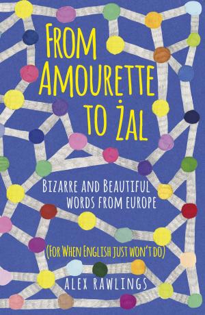Cover of the book From Amourette to Zal by Lucy Wood
