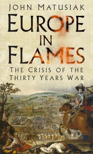 Cover of the book Europe in Flames by Michael Freemantle