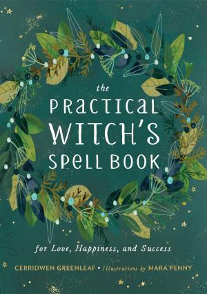 Cover of the book The Practical Witch's Spell Book by Marsha Greenberg