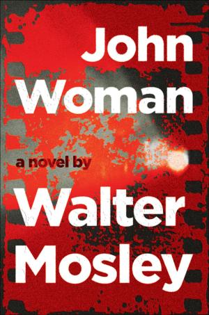 Book cover of John Woman
