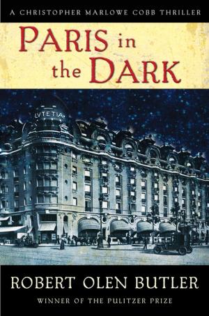 Book cover of Paris in the Dark