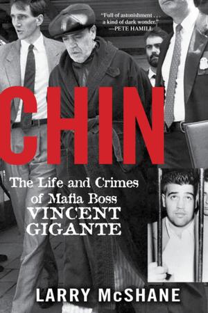 bigCover of the book Chin by 