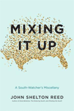 Cover of the book Mixing It Up by Bryan Young