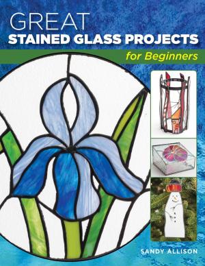 Cover of the book Great Stained Glass Projects for Beginners by David G. Bolgiano, James M. Patterson