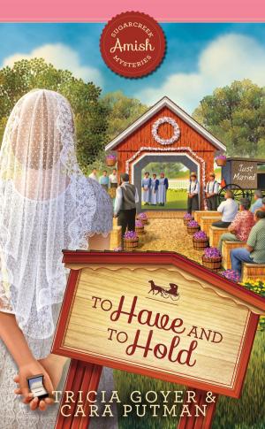 Cover of the book To Have and to Hold by Amy Lillard
