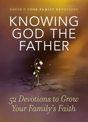 Cover of the book Knowing God the Father by Stephen Arterburn, Becky Lyke Brown, M.S.