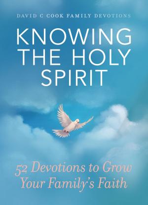 Cover of the book Knowing the Holy Spirit by John Ortberg