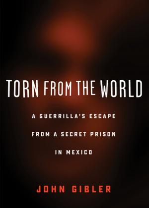 Cover of the book Torn from the World by Susan Daitch