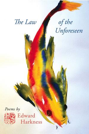 Cover of the book The Egret by Sarah Plimpton