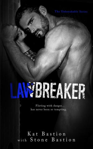 Cover of the book Lawbreaker by N.M. Silber