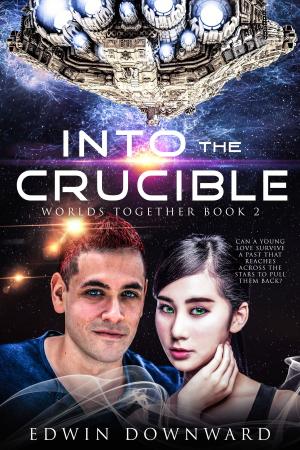 bigCover of the book Into The Crucible by 