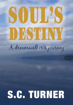 Cover of Soul's Destiny - A Dreamwalker's Journey