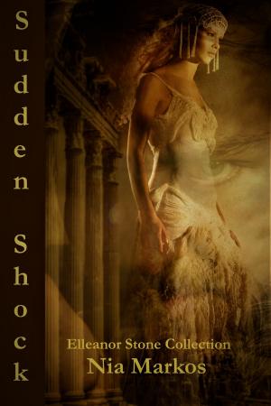 Cover of the book Sudden Shock by Ce Dany