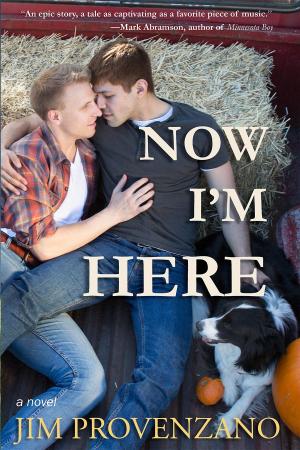 Cover of Now I'm Here