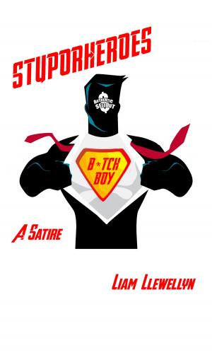 Cover of Stuporheroes