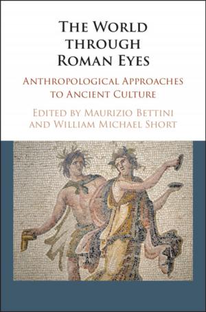 Cover of the book The World through Roman Eyes by David E Smith