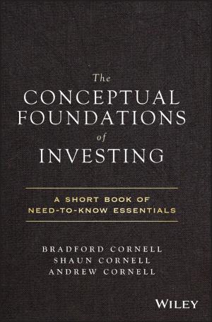 Book cover of The Conceptual Foundations of Investing