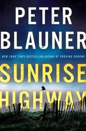 Cover of the book Sunrise Highway by Soizic Mouton