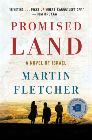 Cover of the book Promised Land by David Young