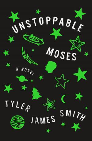 Cover of the book Unstoppable Moses by Liza Palmer
