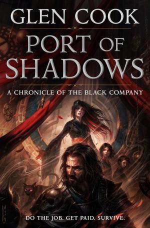 Cover of the book Port of Shadows by Michael Ransom