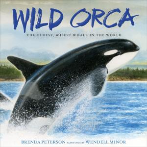 Cover of the book Wild Orca by Margery Cuyler