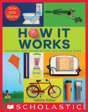 Cover of the book Now You Know How It Works by Maggie Stiefvater