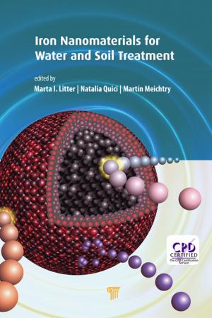 Cover of the book Iron Nanomaterials for Water and Soil Treatment by Yuping Duan, Hongtao Guan