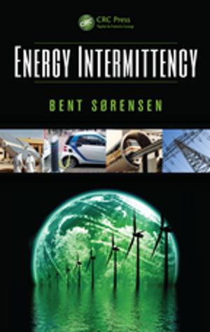 Cover of the book Energy Intermittency by Johan Giesecke
