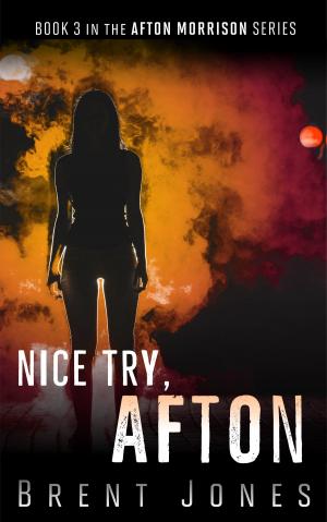 Cover of Nice Try, Afton (Afton Morrison, #3)
