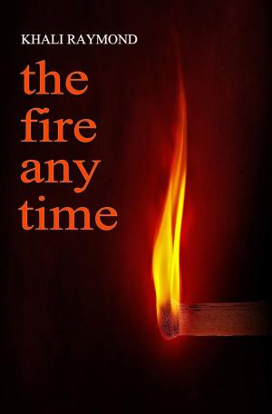 Cover of The Fire Any Time