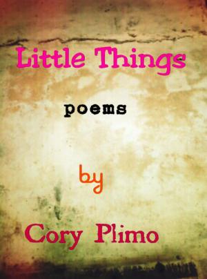 Cover of the book Little Things by Luna Challis