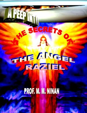 Cover of the book A Peep into the Secrets of Angel RAziel by Dan Sebbah