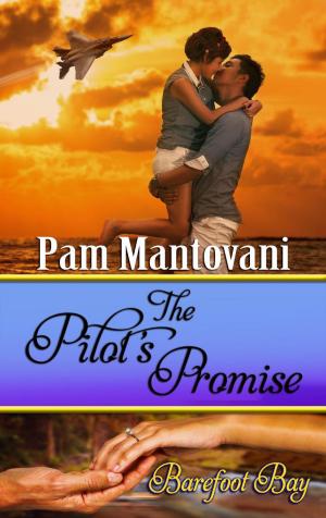 Book cover of The Pilot's Promise