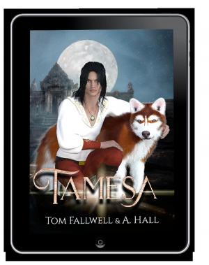 Book cover of Tamesa