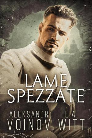 Cover of the book Lame Spezzate by Aleksandr Voinov, Rhi Etzweiler