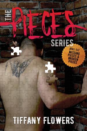 Cover of the book Pieces Series by S.R. Mitchell