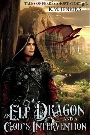 Cover of the book An Elf, a Dragon, and a God's Intervention by CJ Brightley