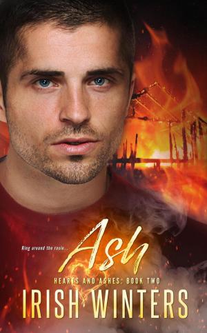 Cover of the book Ash by M.C. Cerny