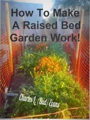 Cover of the book How To Make a Raised Bed Work by Lionrhod