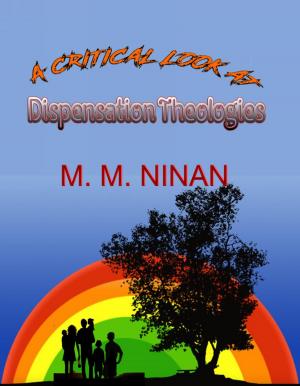 Cover of the book A Critical Look at Dispensation Theologies by Lulu Rivera