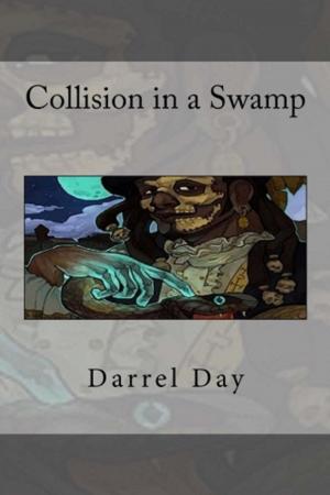 Cover of the book Collision in a Swamp by Darrel Day