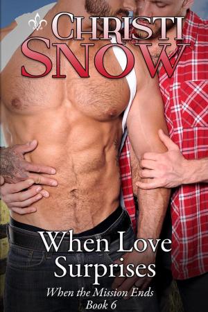 Cover of the book When Love Surprises by Christina Snow