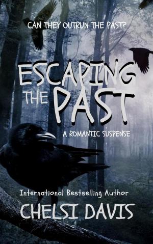 Cover of the book Escaping The Past by BeBe Harlow, Tressa Rabbit