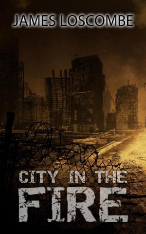 Cover of the book City in the Fire by Robert J. Duperre
