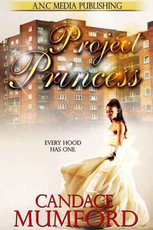 Cover of the book Project Princess by Candace Mumford